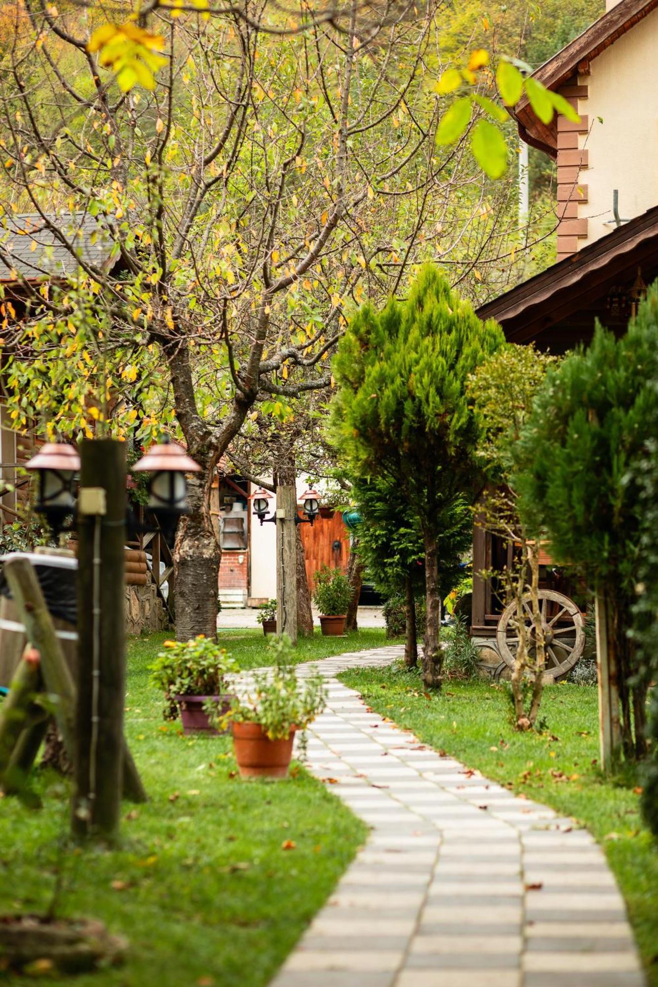 Abant Doga Koeskue Bed & Breakfast Bolu Exterior photo